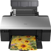 Stylus Photo R285