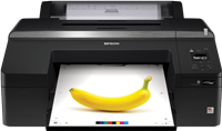 SureColor SC-P5000 STD