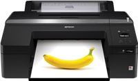 SureColor SC-P5000 Violet Spectro