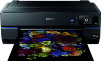SureColor SC-P800