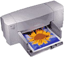 DeskJet 810C