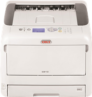 C813n