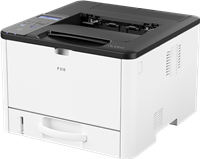P 310