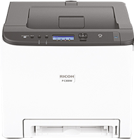 P C300W