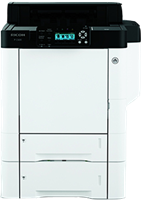 P C600
