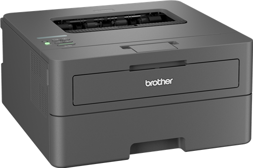 Brother HL-L2447DW