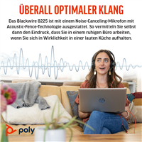 HP Poly 8X223AA
