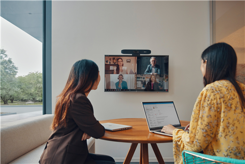 HP Poly 842D2AA