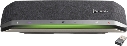 HP Poly Silver 