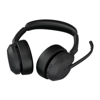 Jabra 25599-999-999