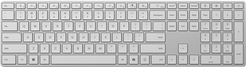 Microsoft Silver 