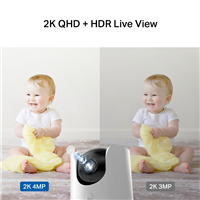 TP-Link TAPO C225